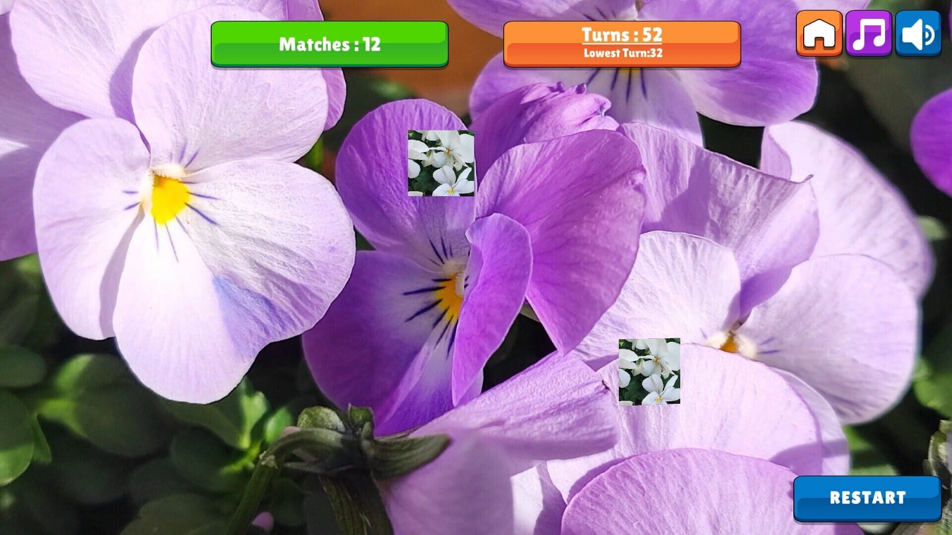 OG Memory: Spring 2K24 - Screenshot