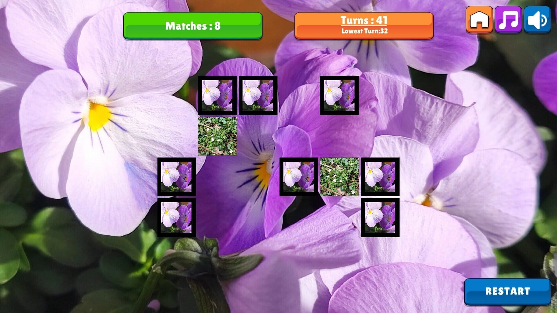 OG Memory: Spring 2K24 - Screenshot