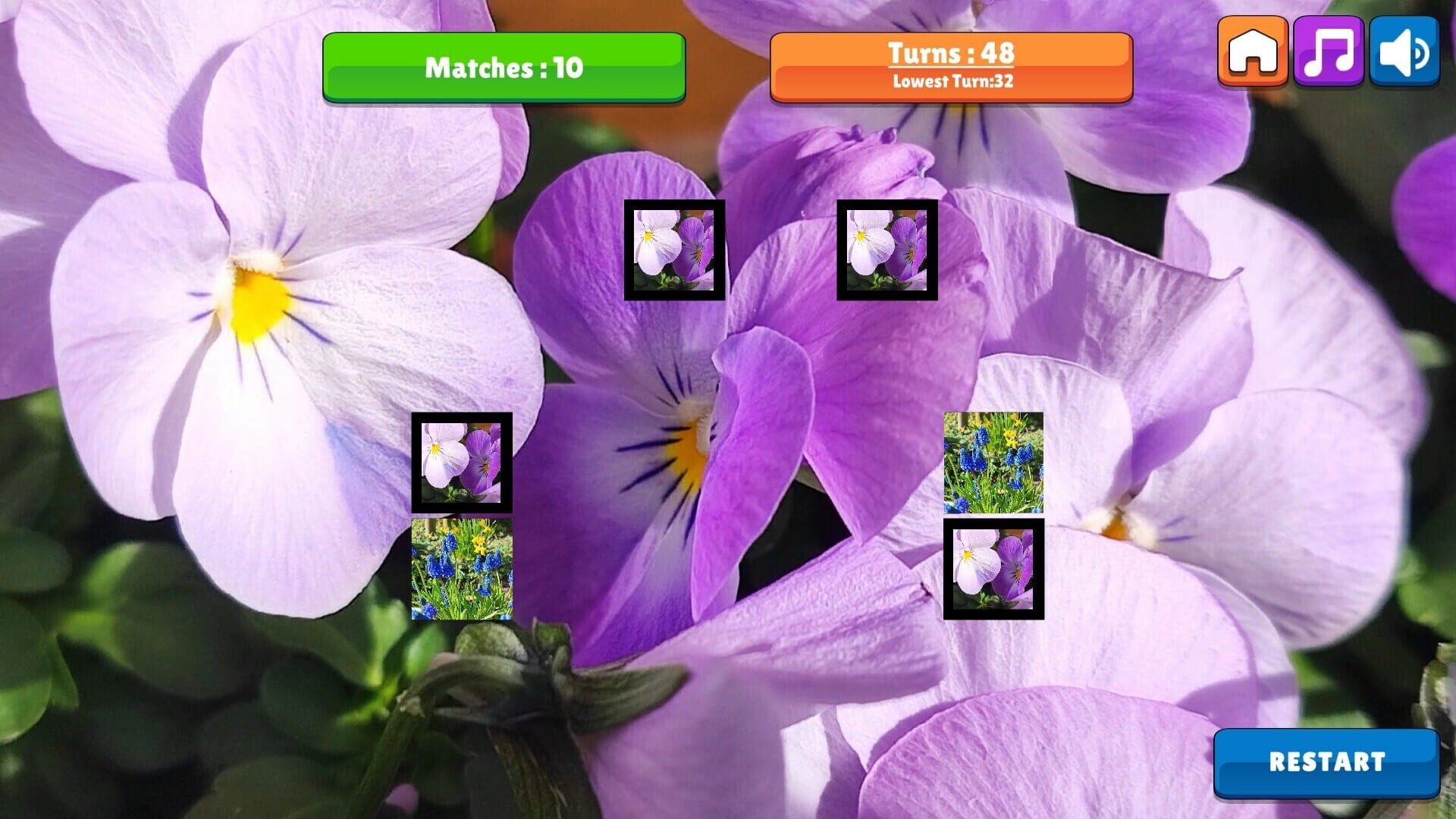 OG Memory: Spring 2K24 - Screenshot
