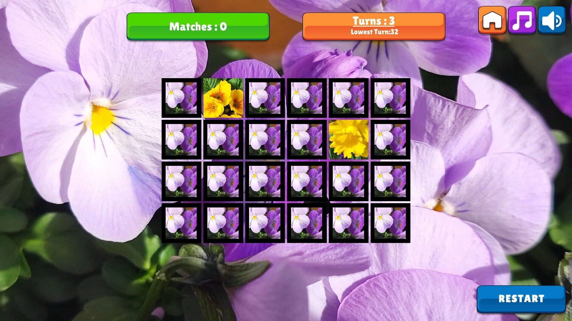 OG Memory: Spring 2K24 - Screenshot