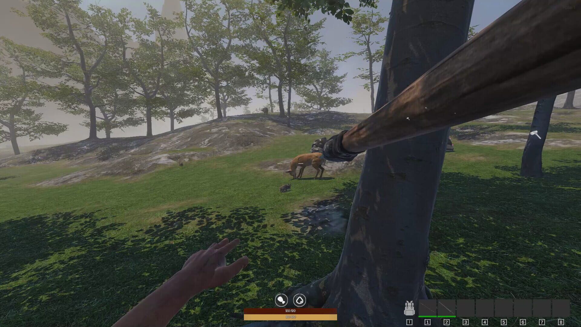 Questscape: Survival - Screenshot
