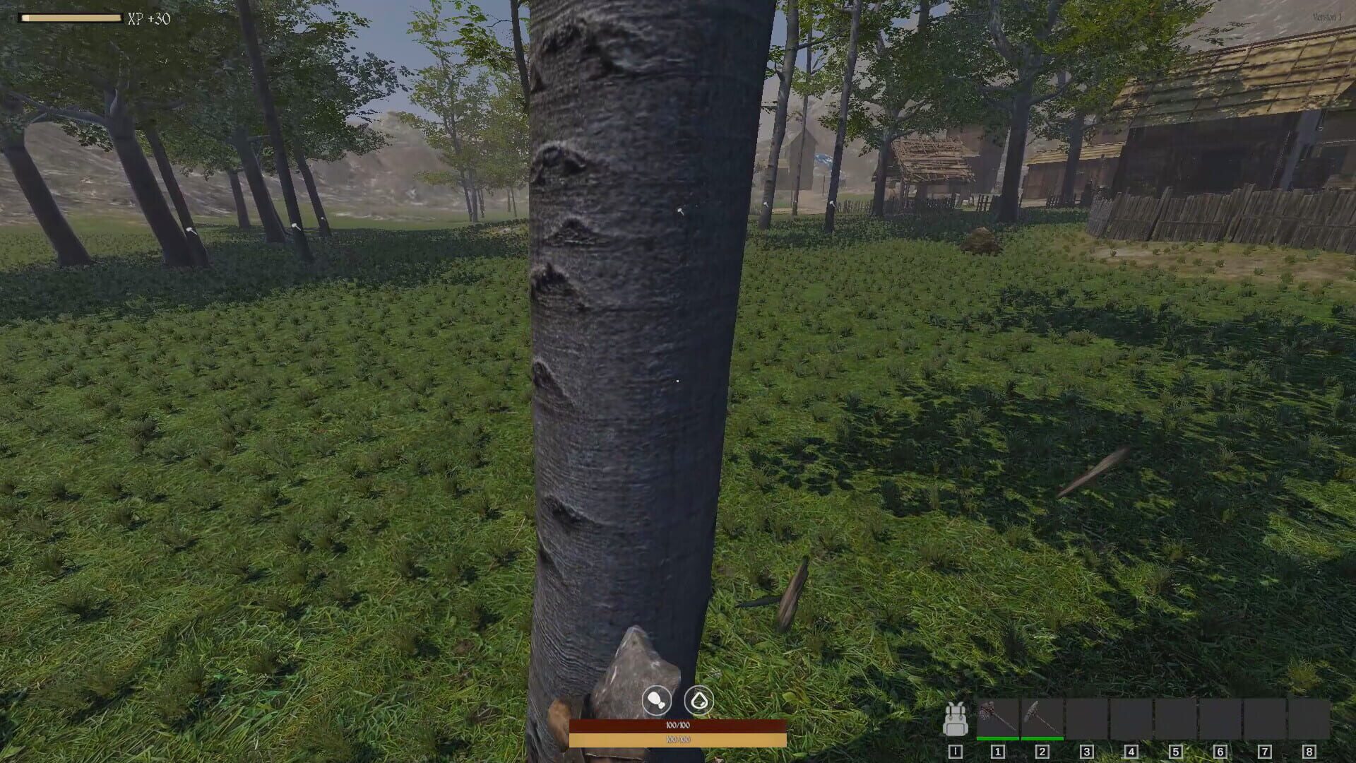 Questscape: Survival - Screenshot