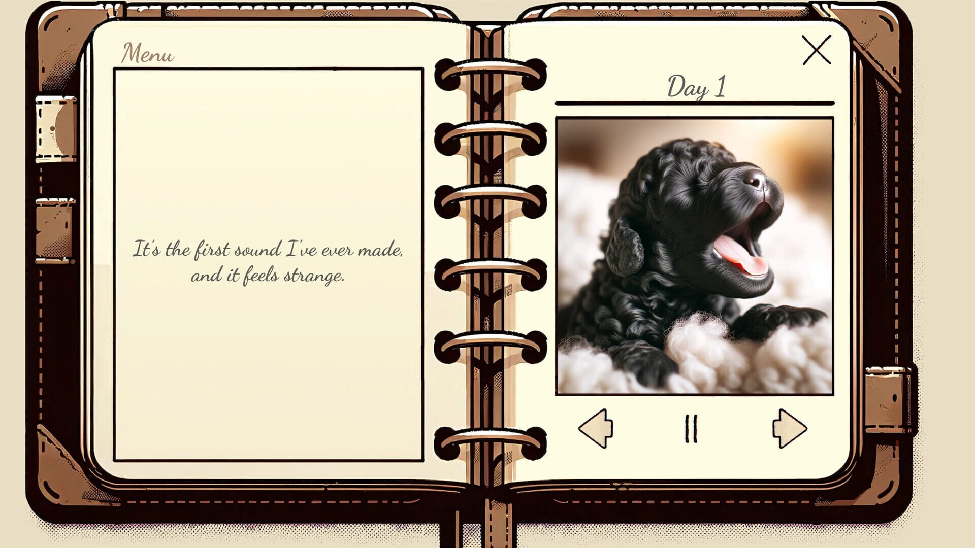 My Poodle's Diary - Screenshot