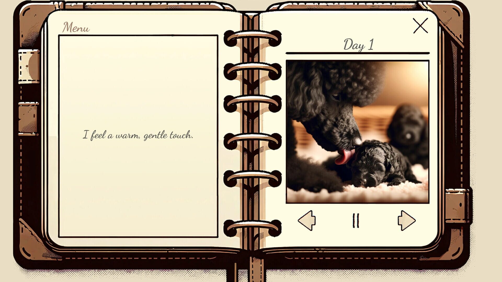 My Poodle's Diary - Screenshot