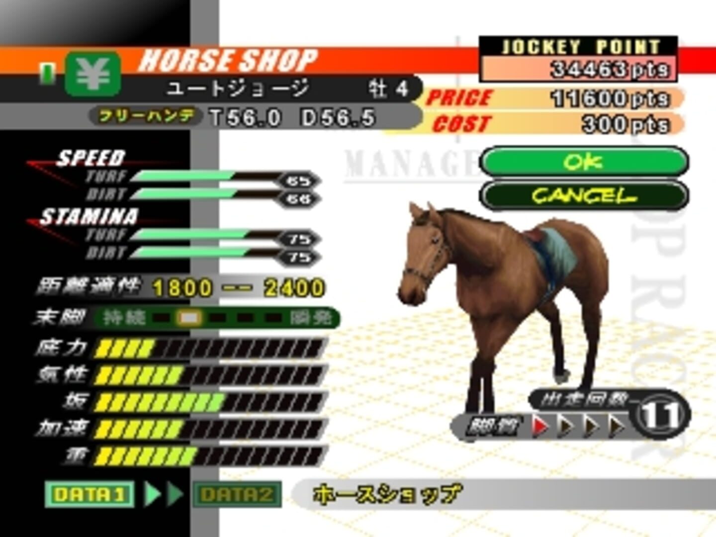 Gallop Racer 2000