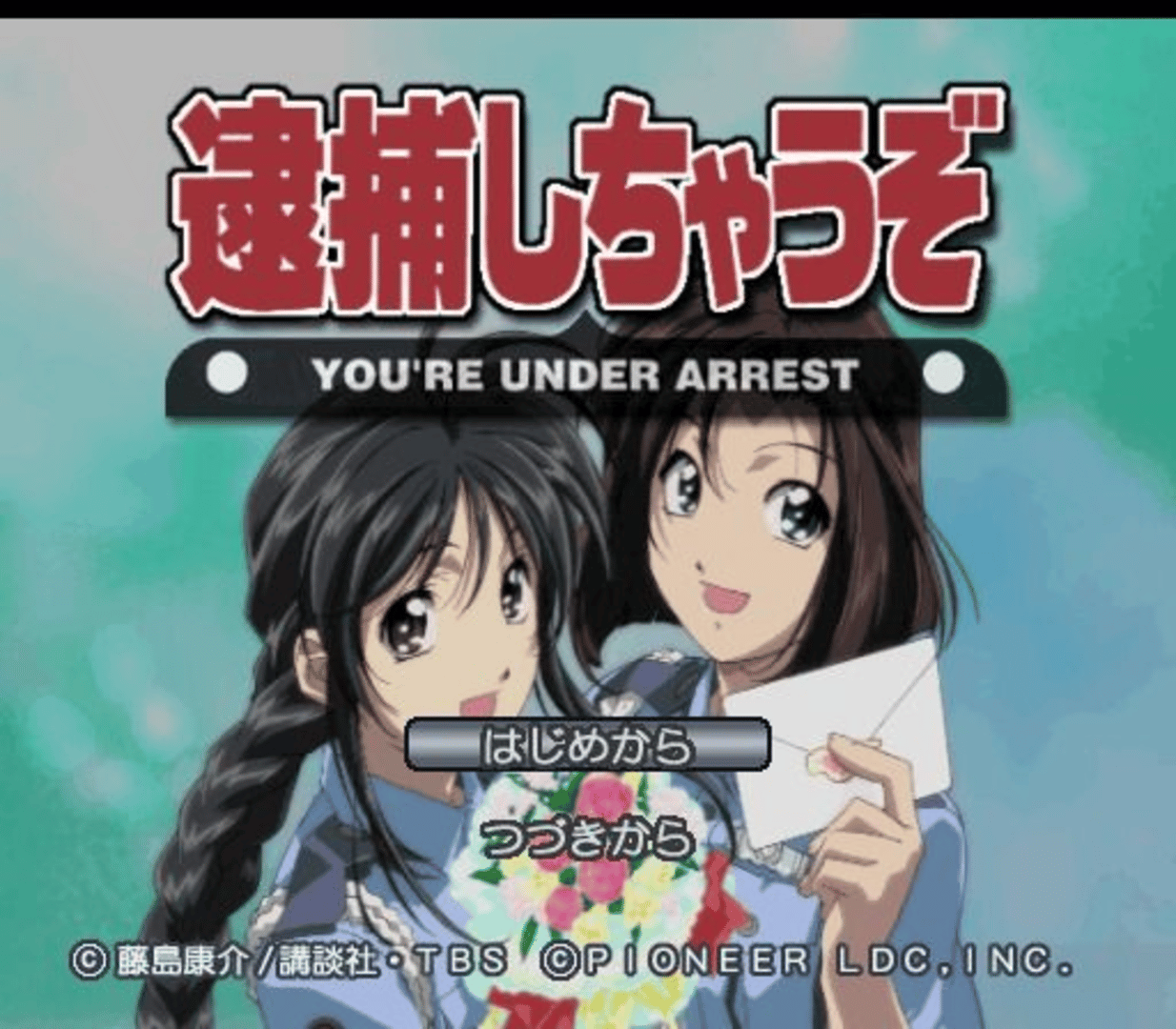 You're Under Arrest screenshot