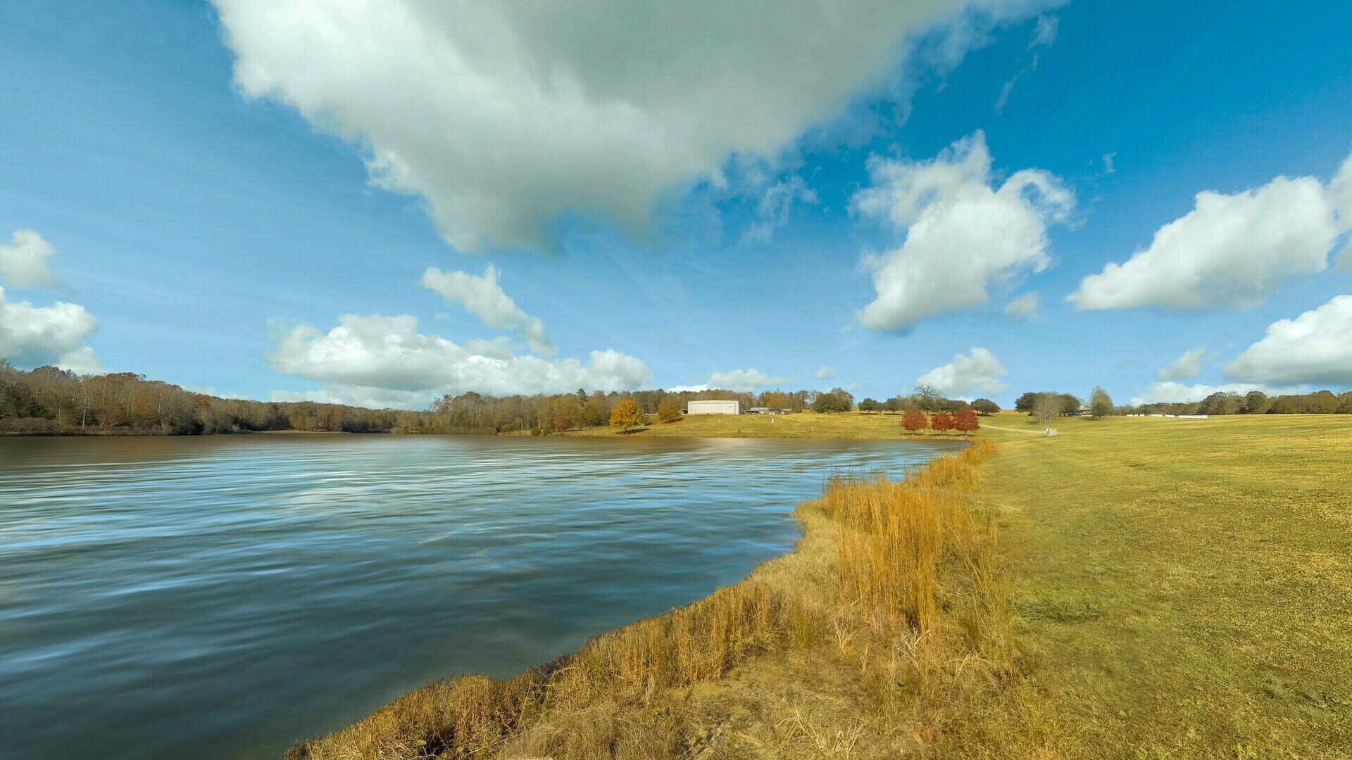 RealFlight Evolution: Triple Tree Float Flight Line - Screenshot