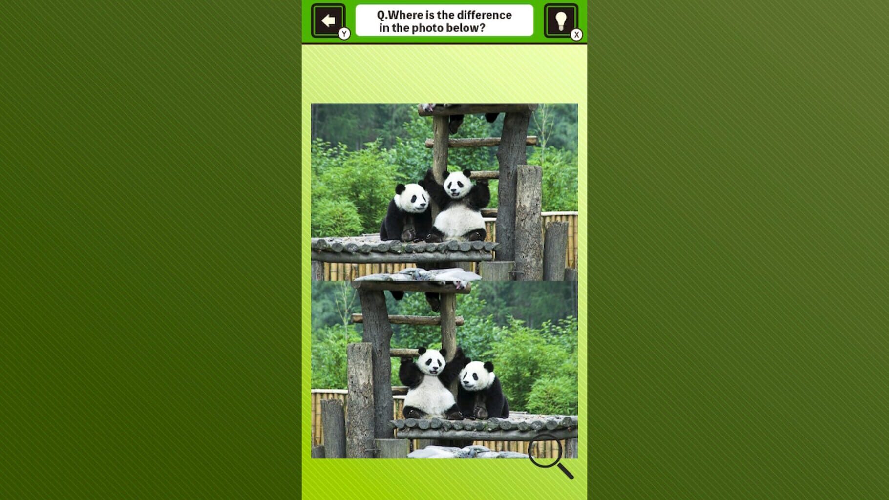 Super Kawaii! Finding Mistakes in Panda Photos