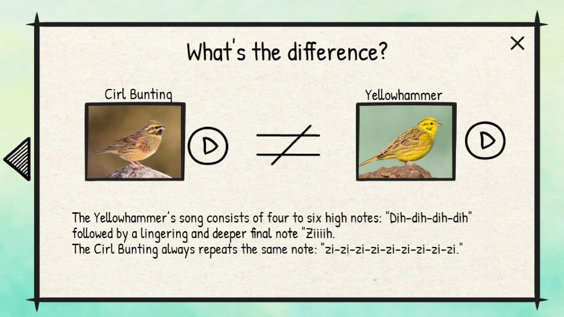 BirdLingo: A birdsong learning game - Screenshot