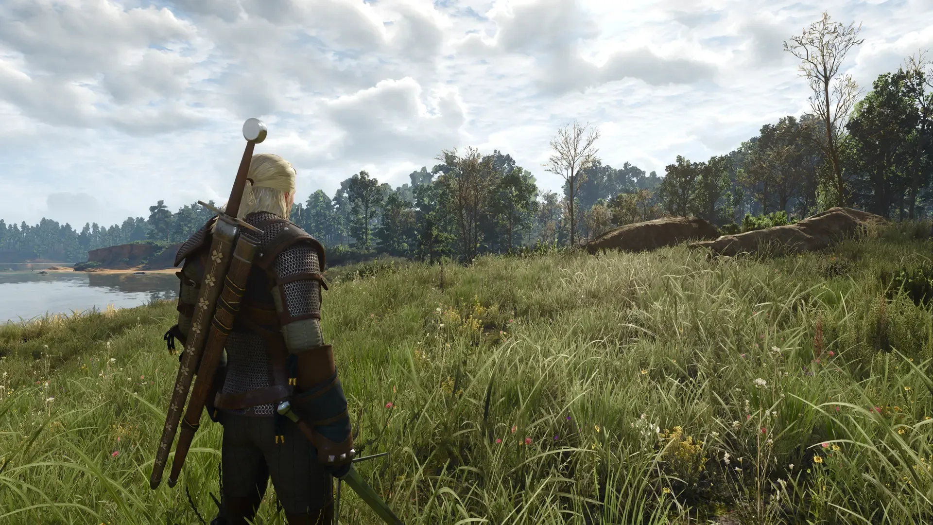 Captura de pantalla - The Witcher 3: Wild Hunt