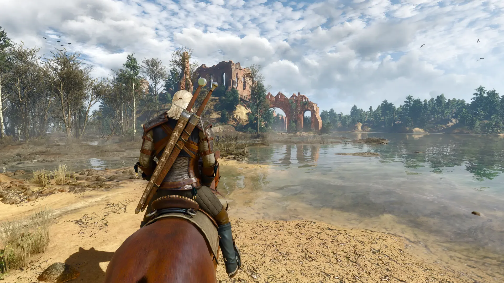 Captura de pantalla - The Witcher 3: Wild Hunt