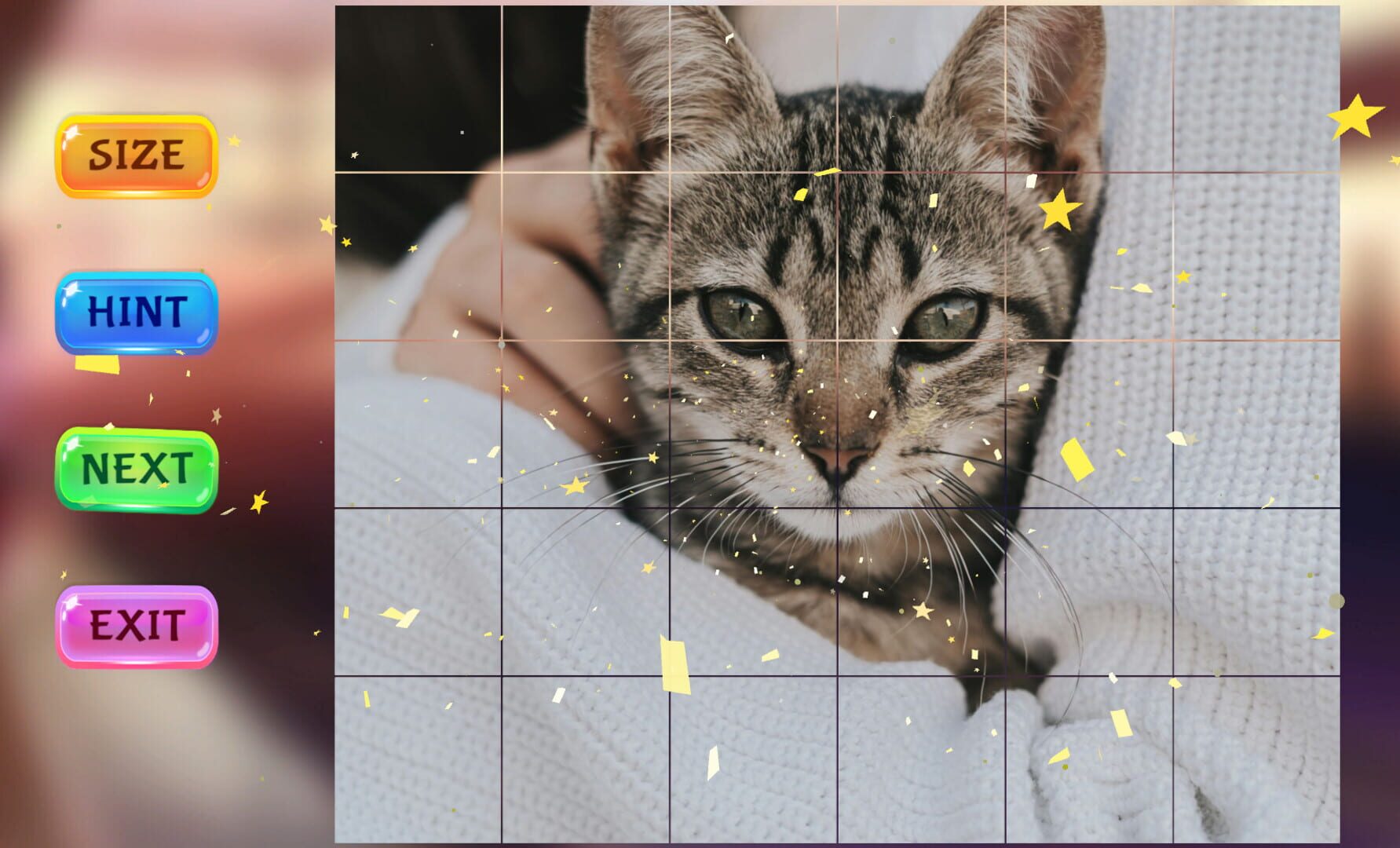 Puzzle Masters - Screenshot