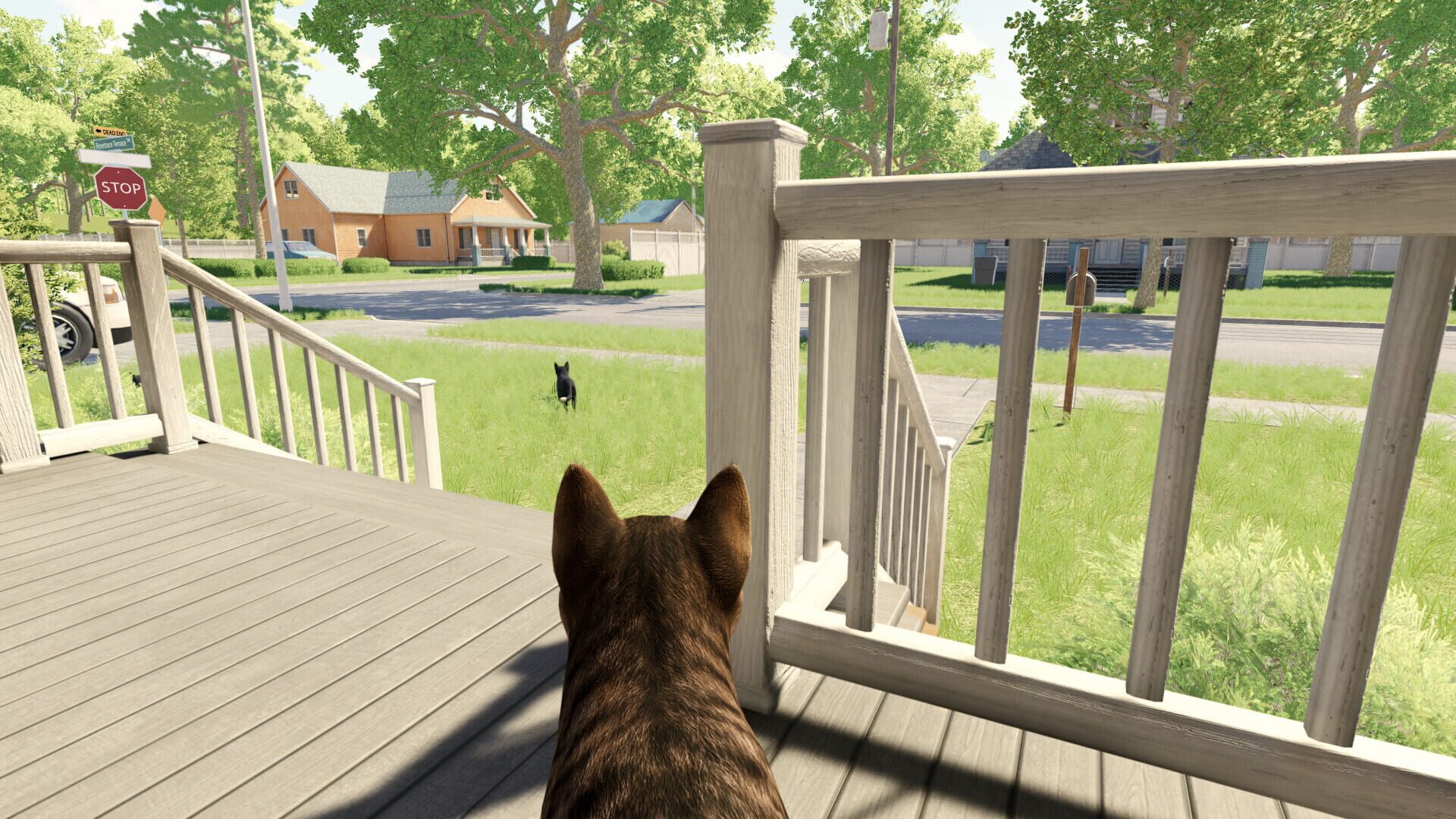 Reign of Cats - Screenshot