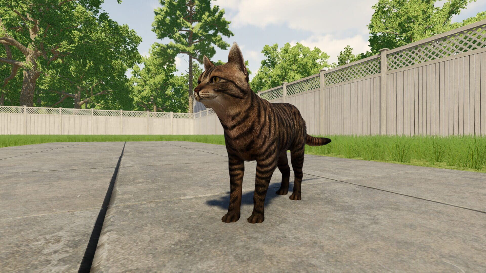 Reign of Cats - Screenshot