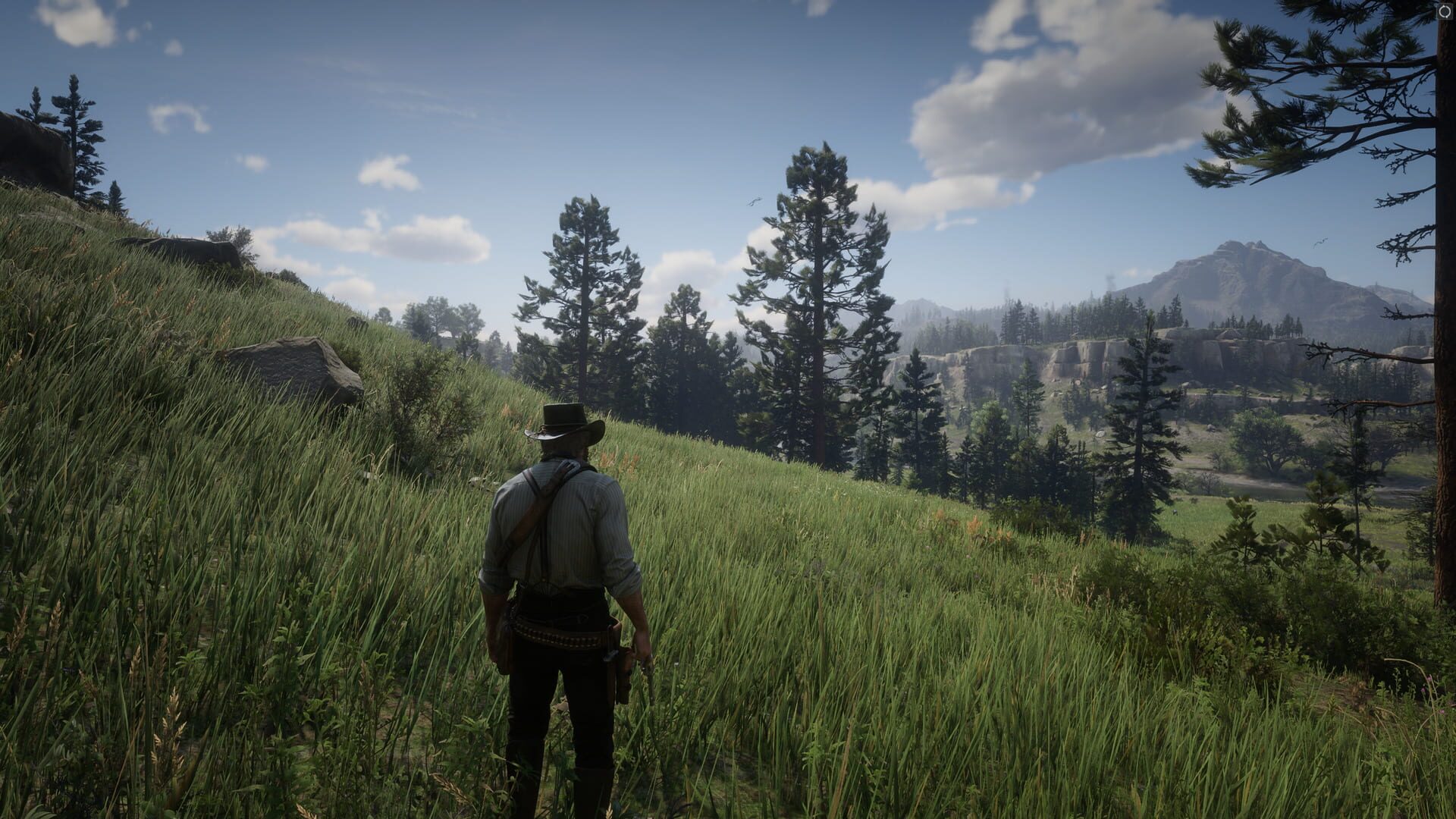 Red Dead Redemption 2 screenshot
