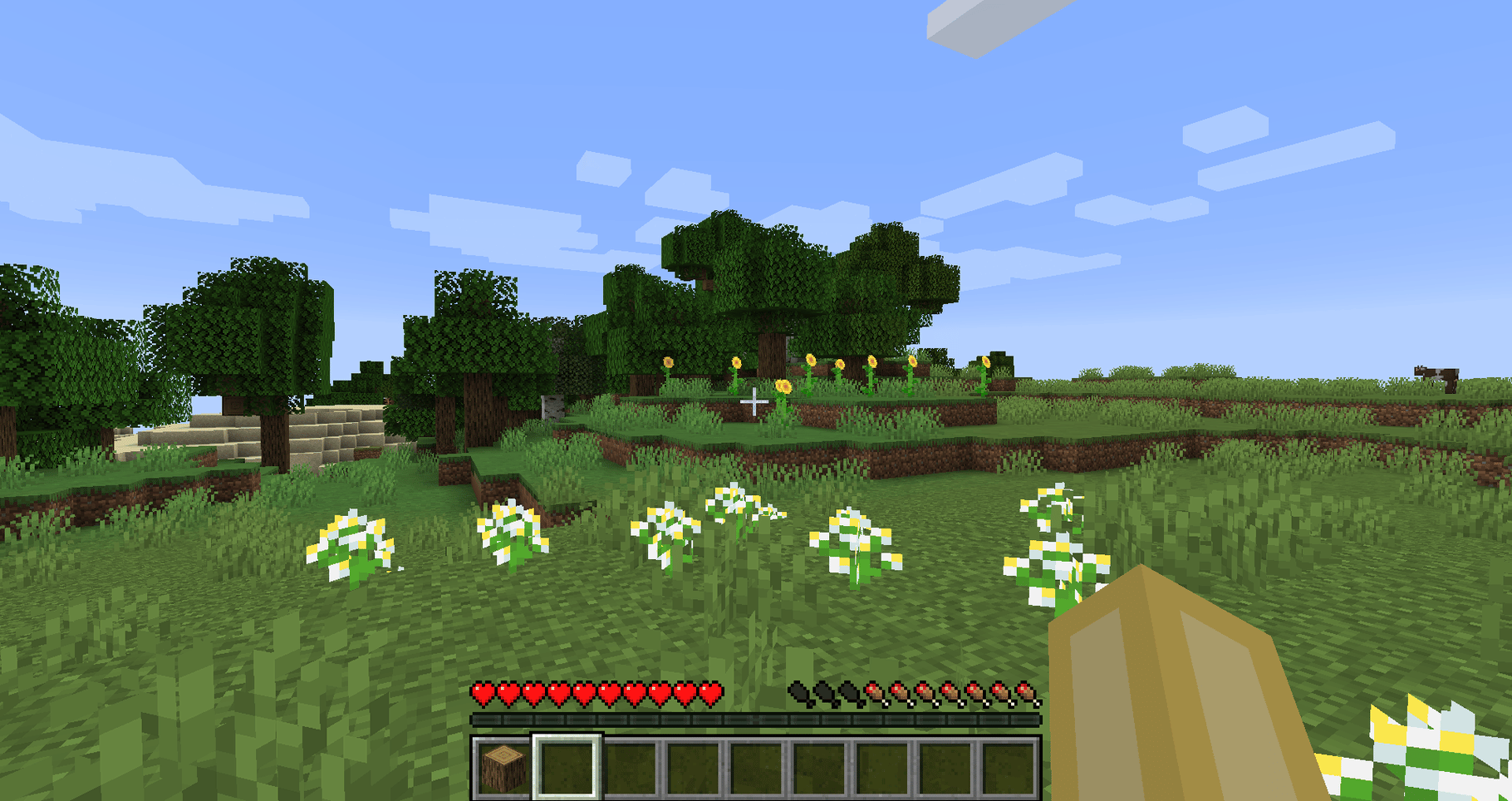 Minecraft: Java Edition screenshot