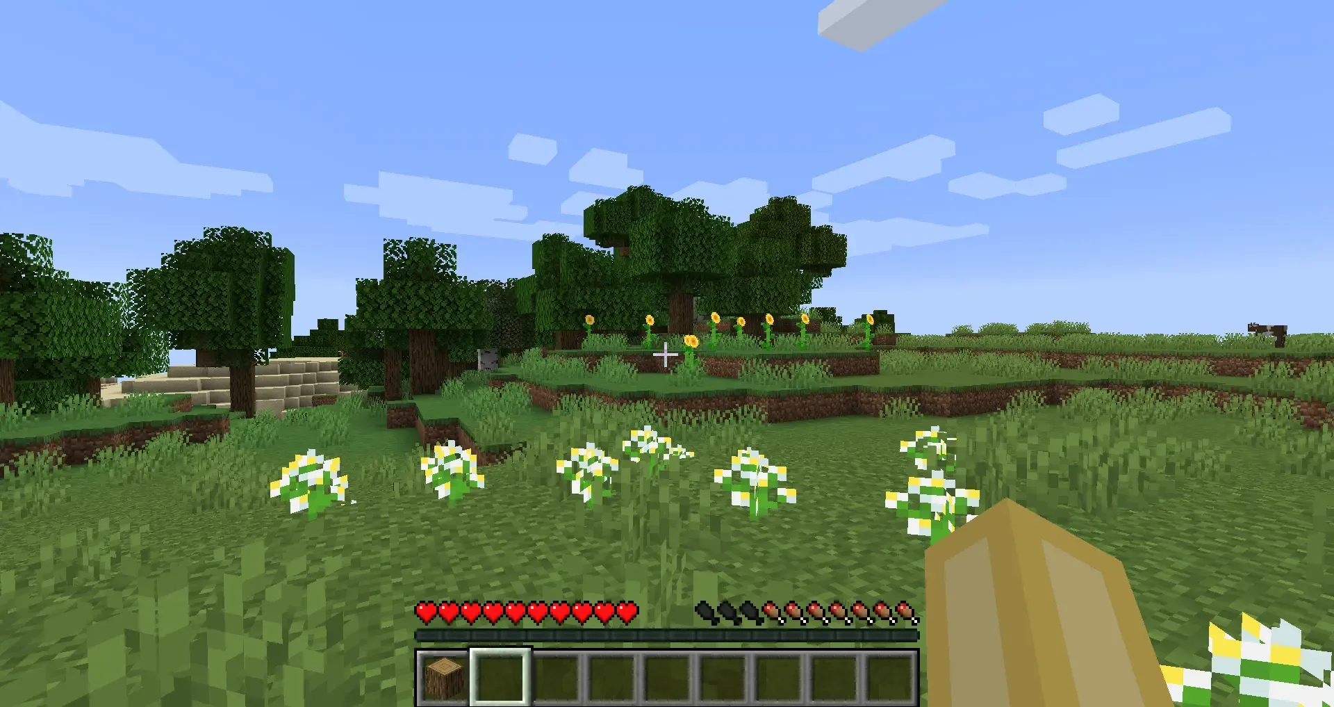Captura de pantalla - Minecraft: Java Edition