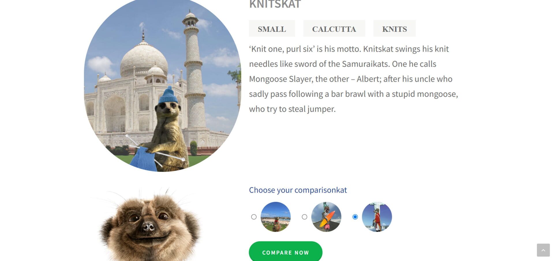 Compare the Meerkat - Screenshot