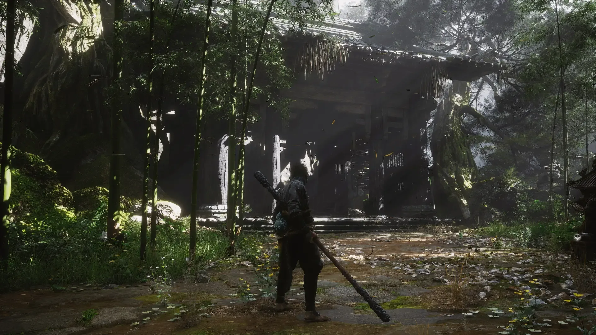 Captura de pantalla - Black Myth: Wukong