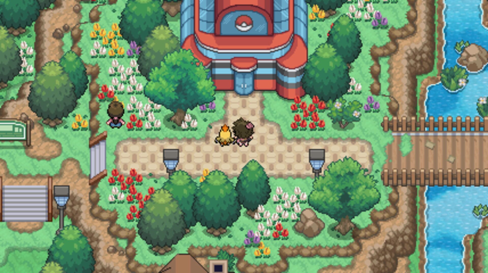 Pokémon Pro - Screenshot