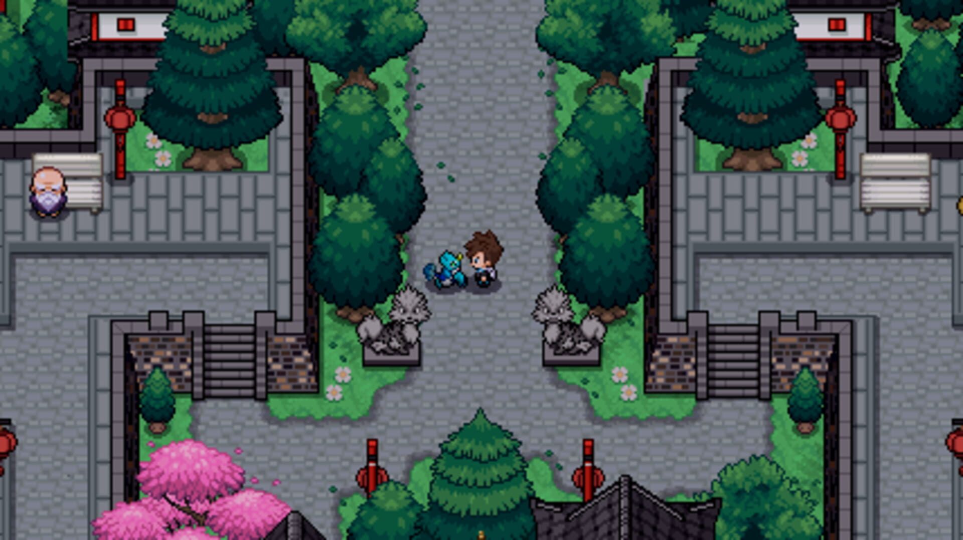 Pokémon Pro - Screenshot
