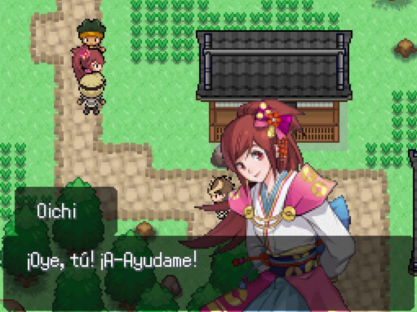 Pokémon Conquerors - Screenshot