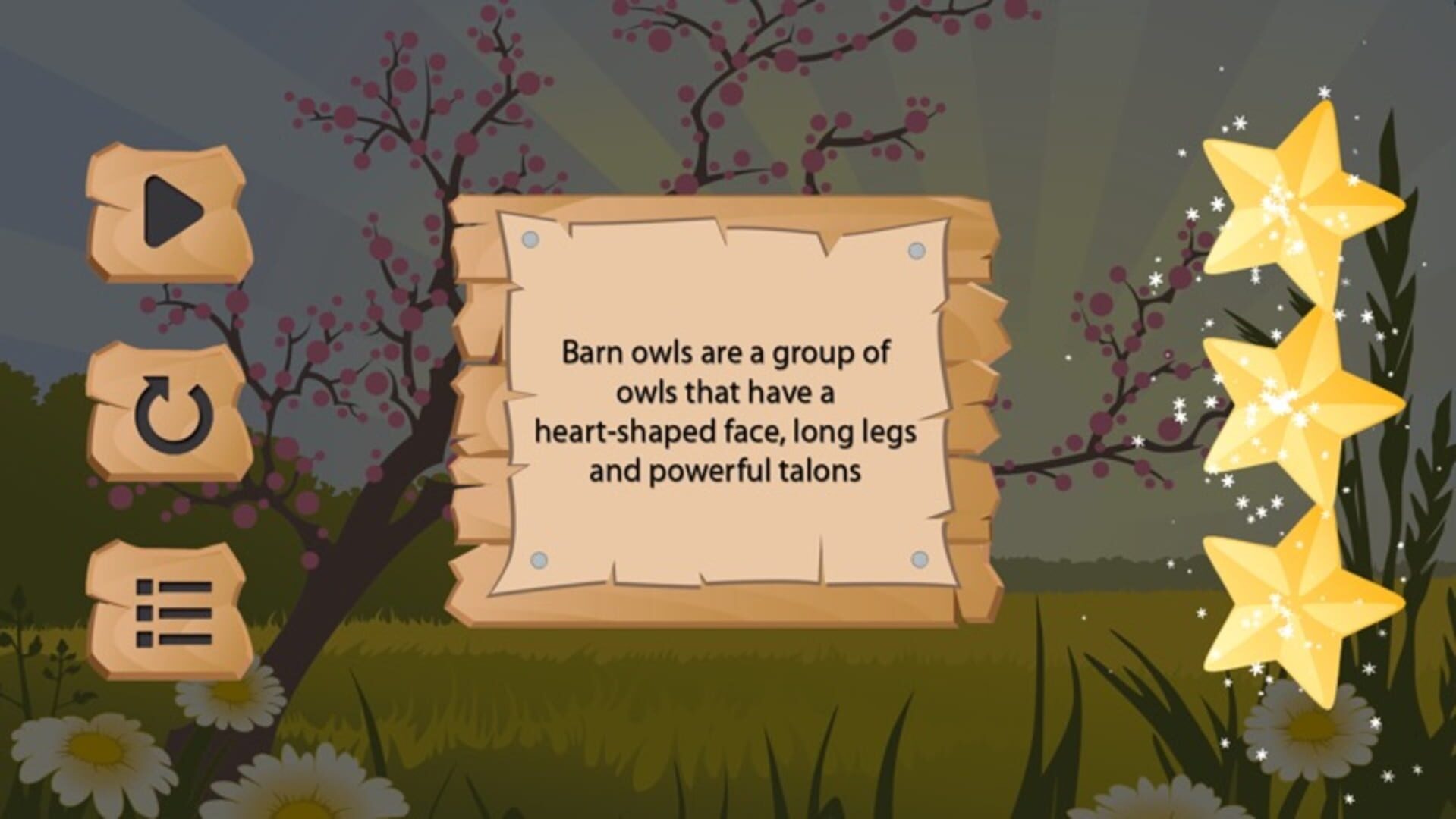 Owls - Screenshot