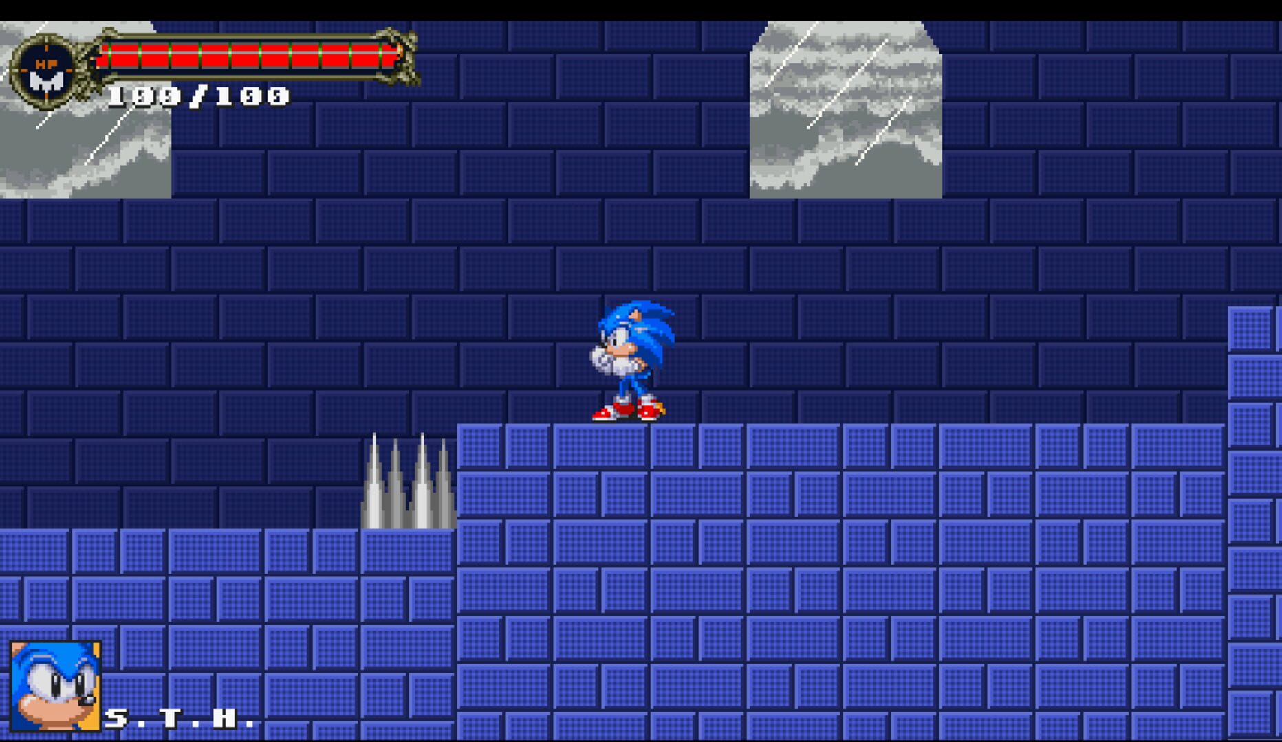 Sonic: The Murdering Insanity