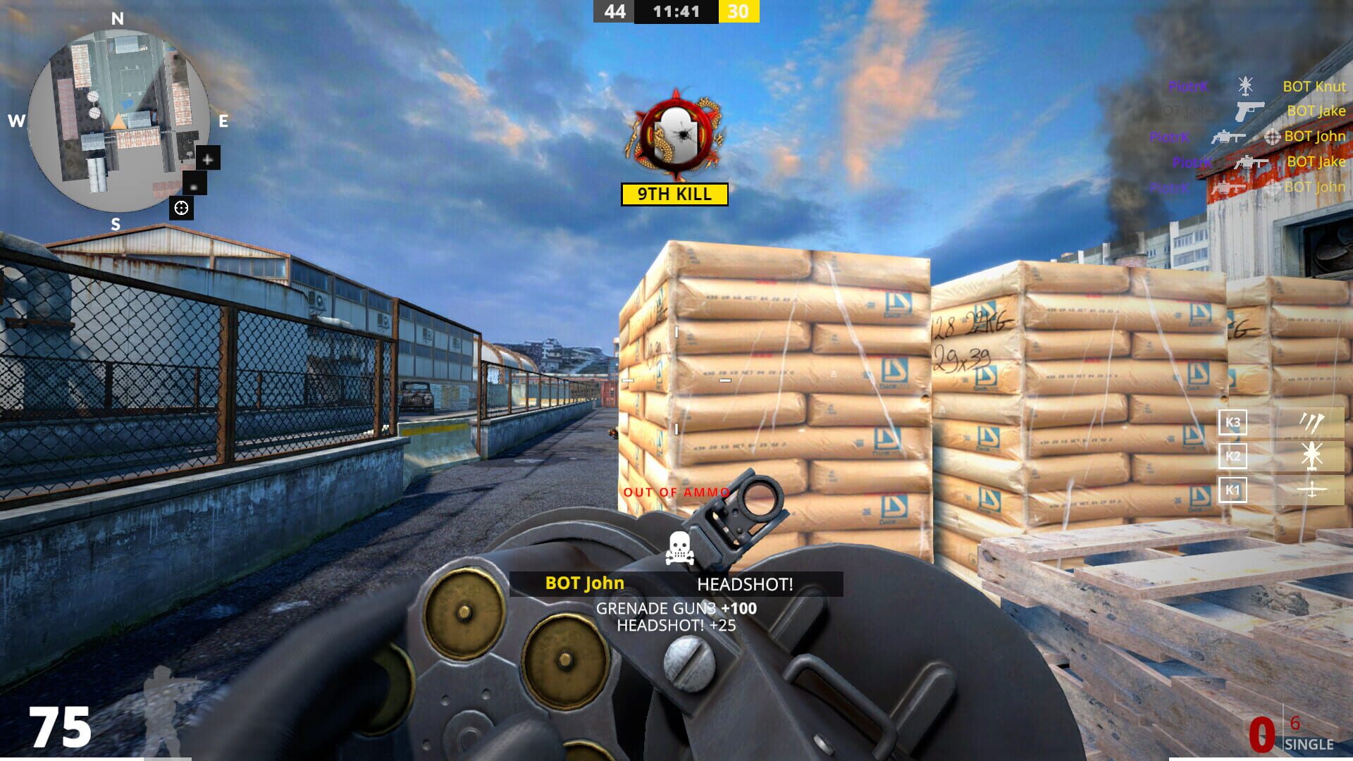 CZO Online - Screenshot