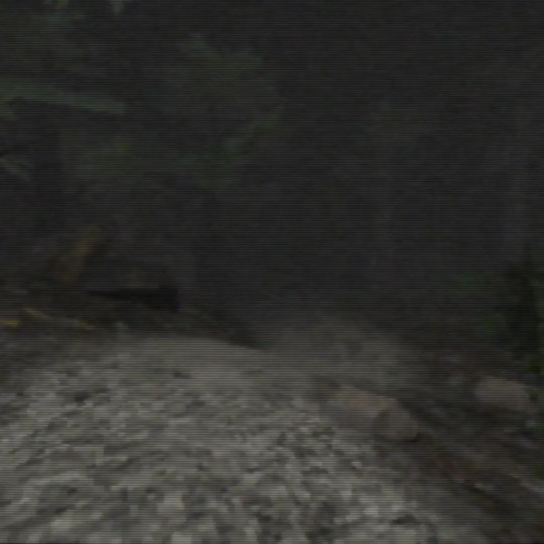 The Happenings At Bowers End