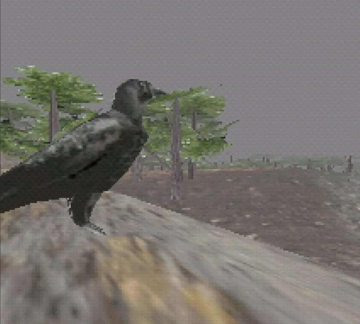 A Hunt for the Fae Folk