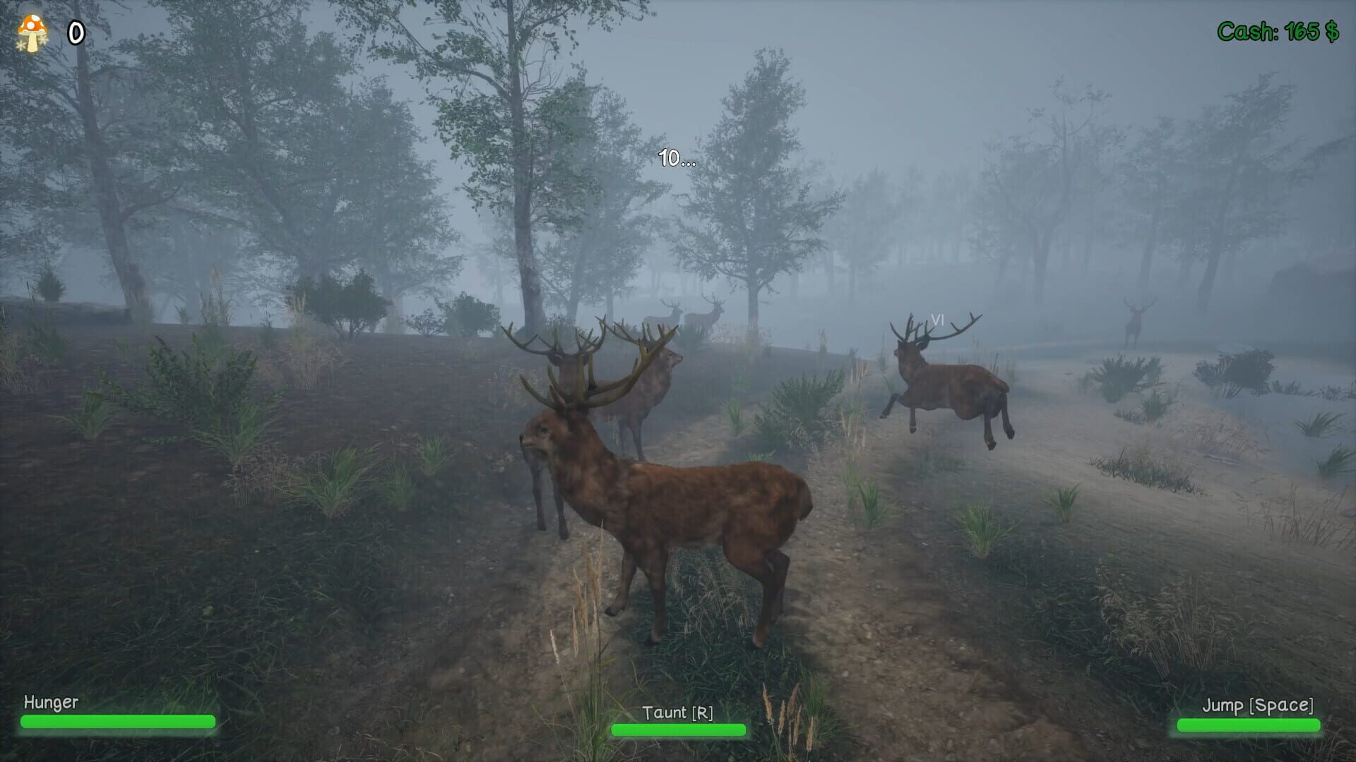 HuntNPrey