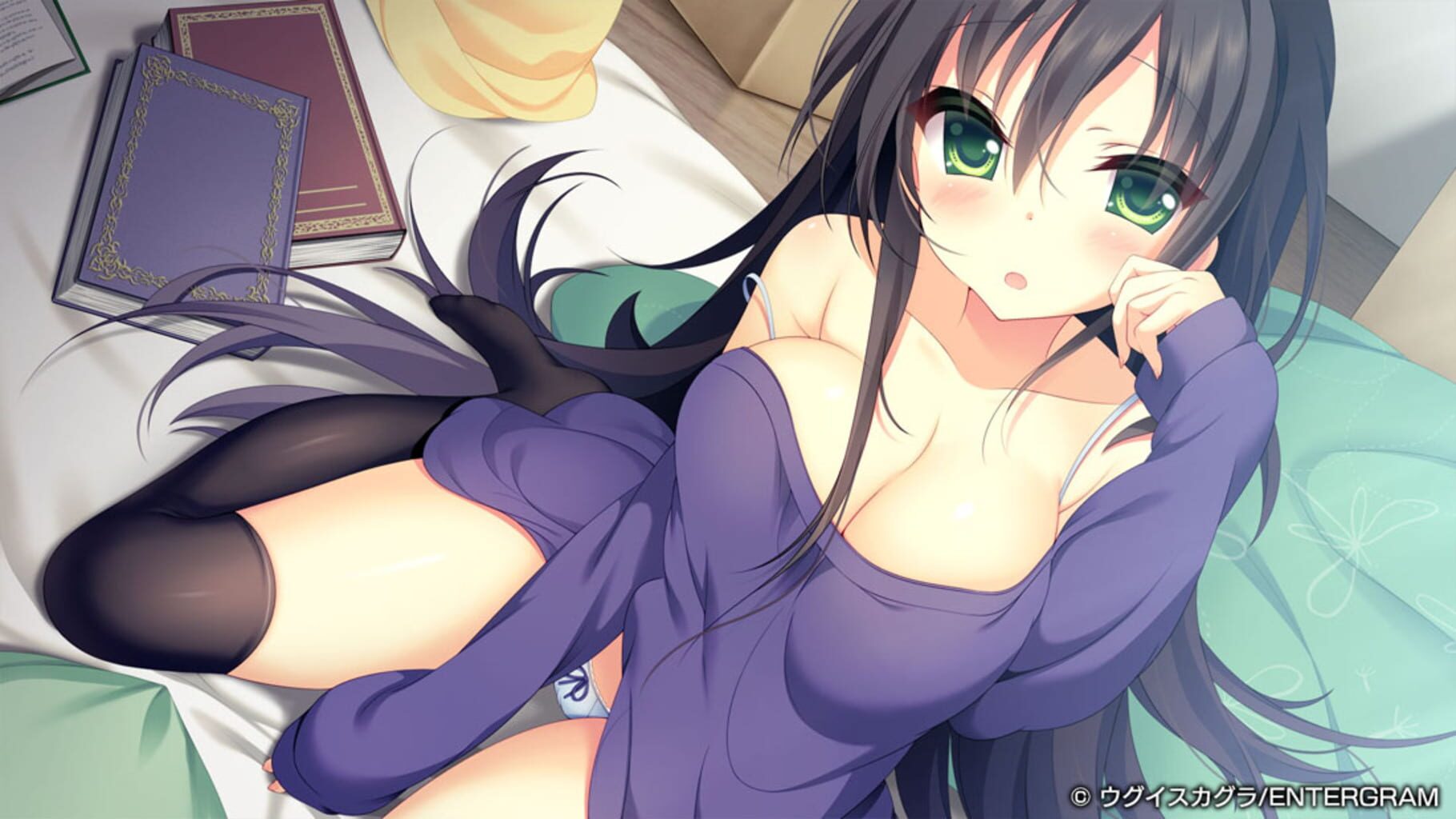Meikei no Lupercalia: Limited Edition screenshot