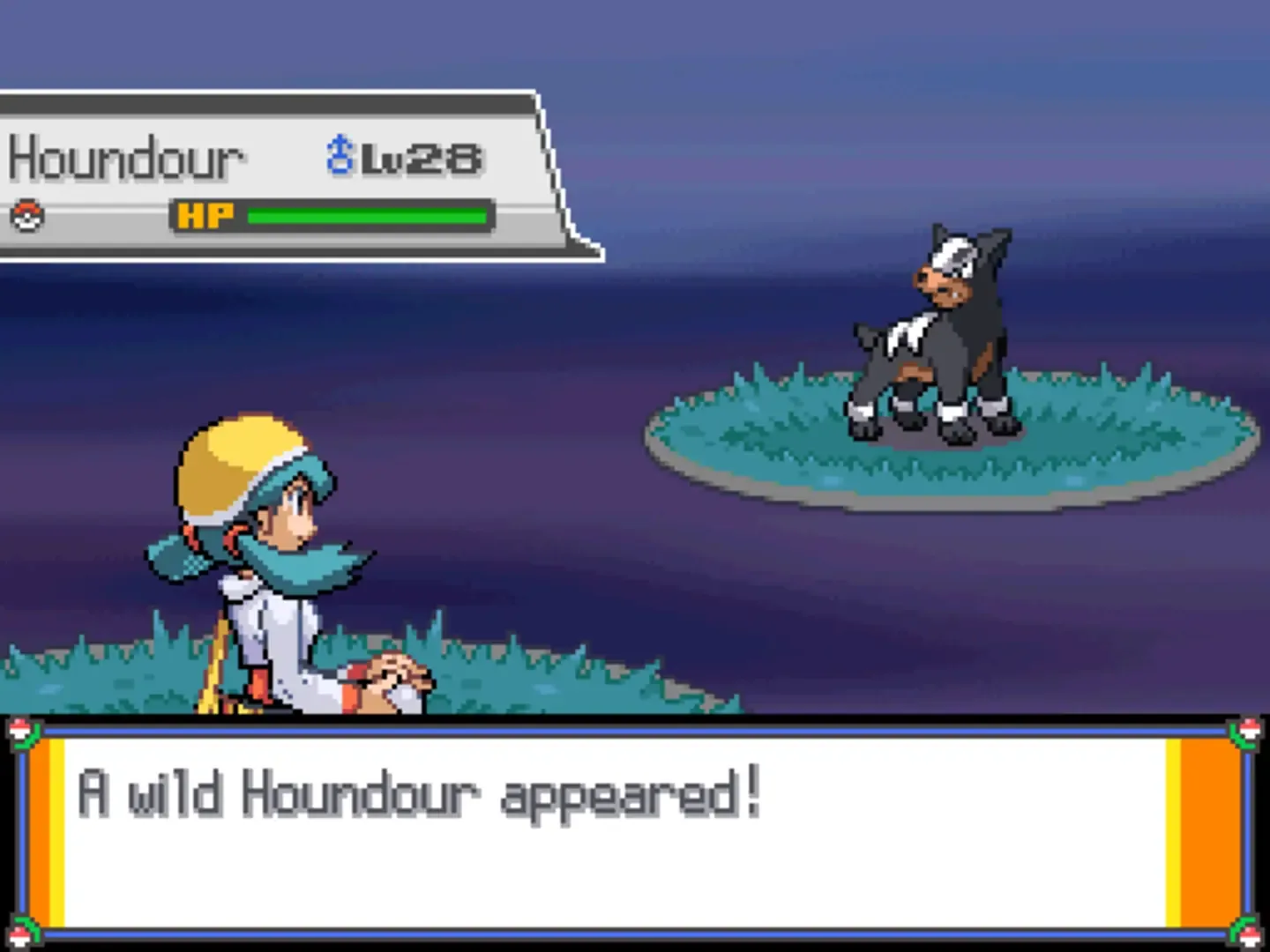 Pokemon HG/SS Golden Edition