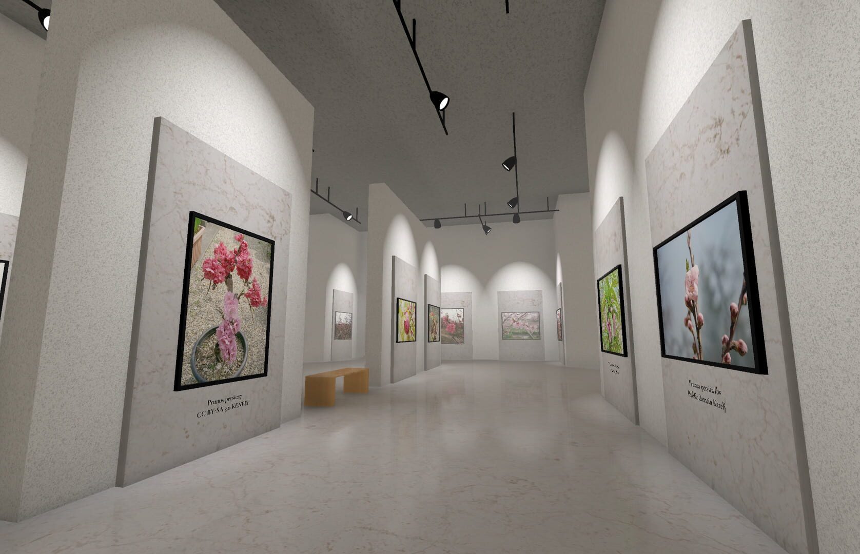 Museum of All Things