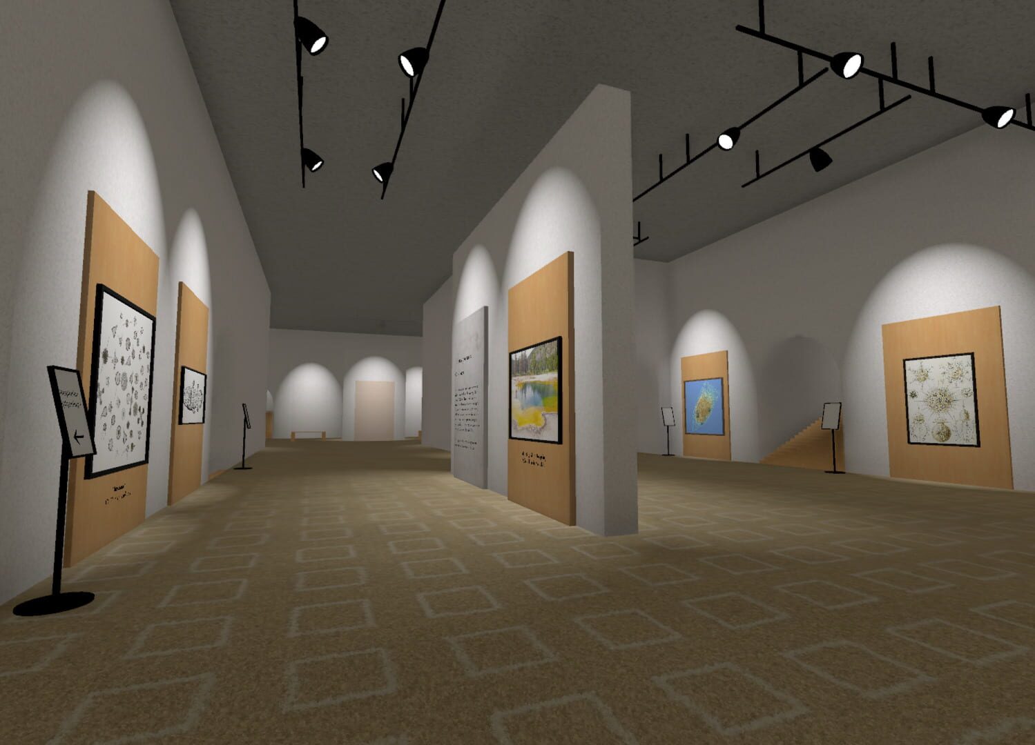 Museum of All Things