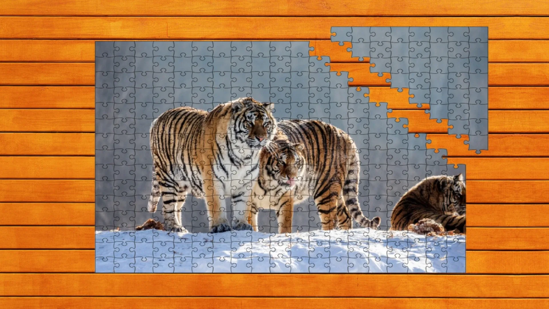 Big Cat Jigsaw Quest: Expansion Pack 2