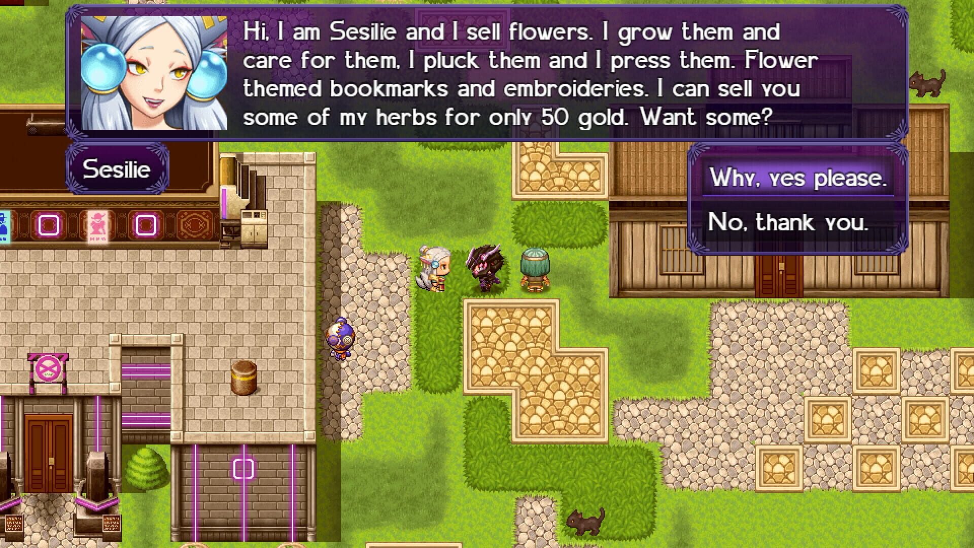 The Black Knight Chronicles: The Widow without Time - Screenshot