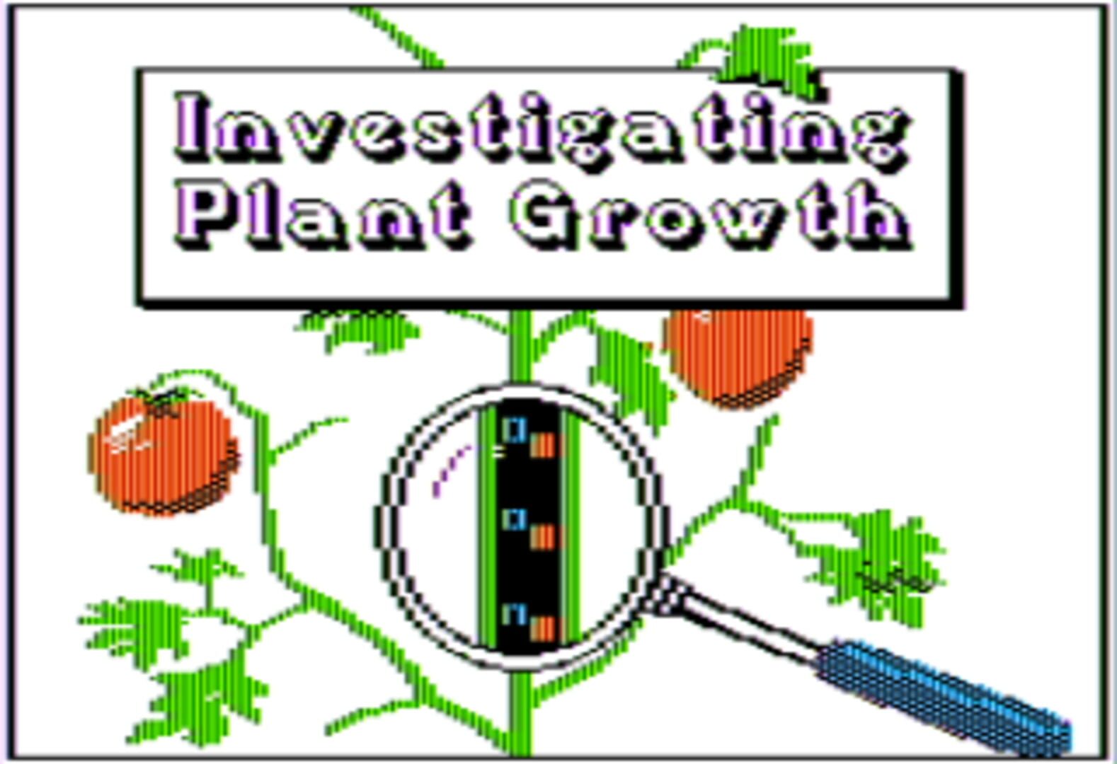 Investigating Plant Growth