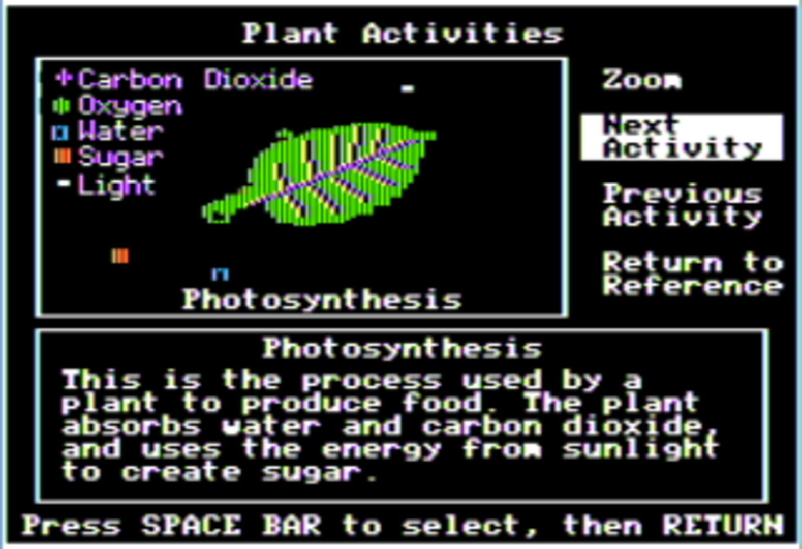Investigating Plant Growth