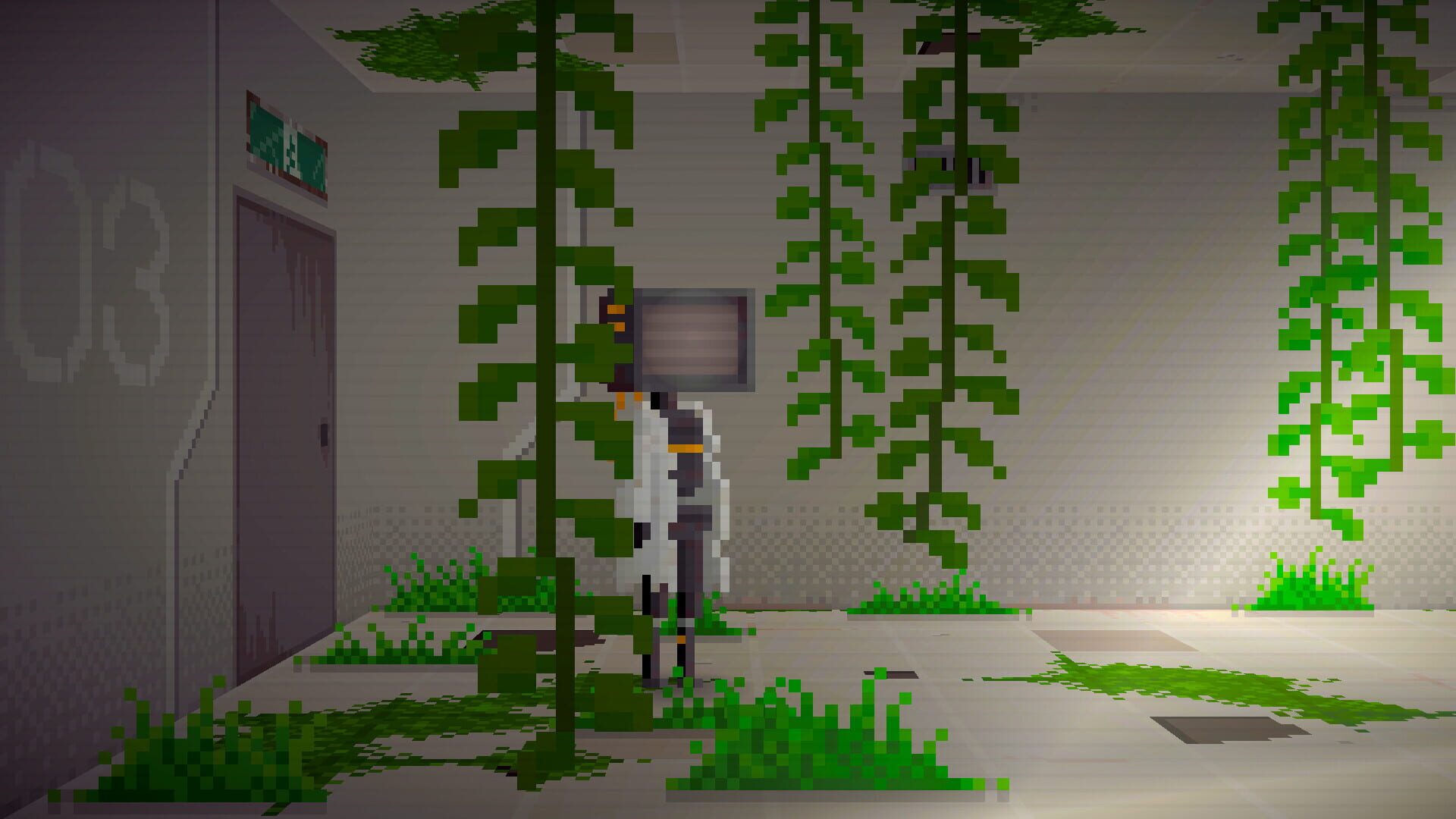 In a World After People