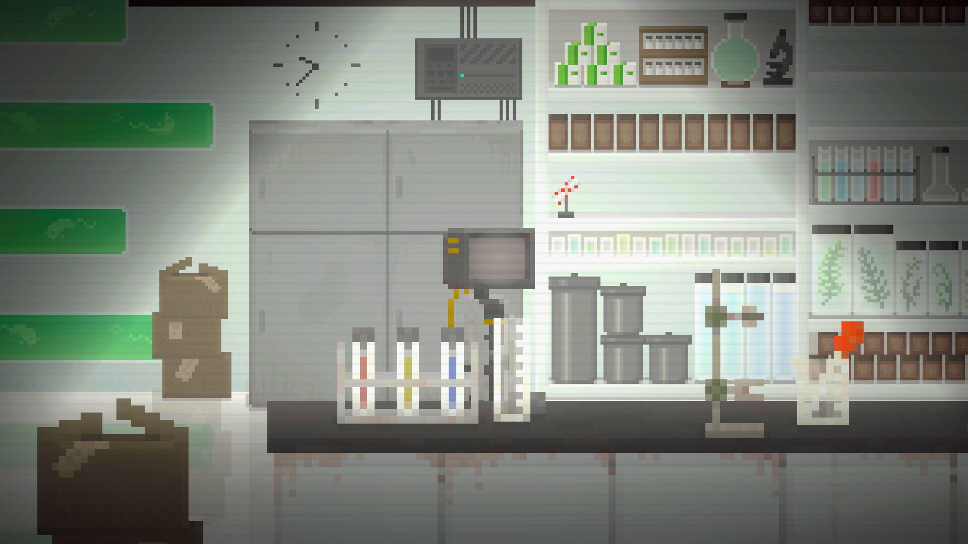 In a World After People