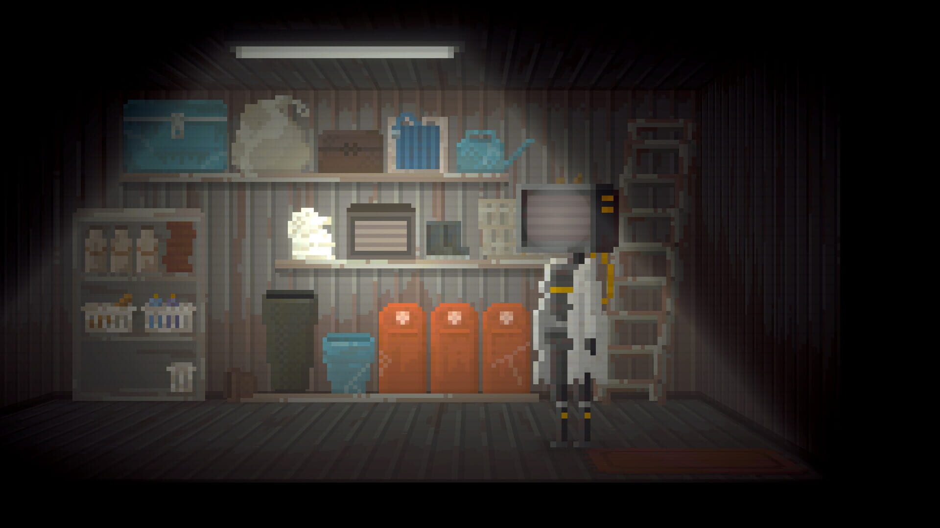 In a World After People