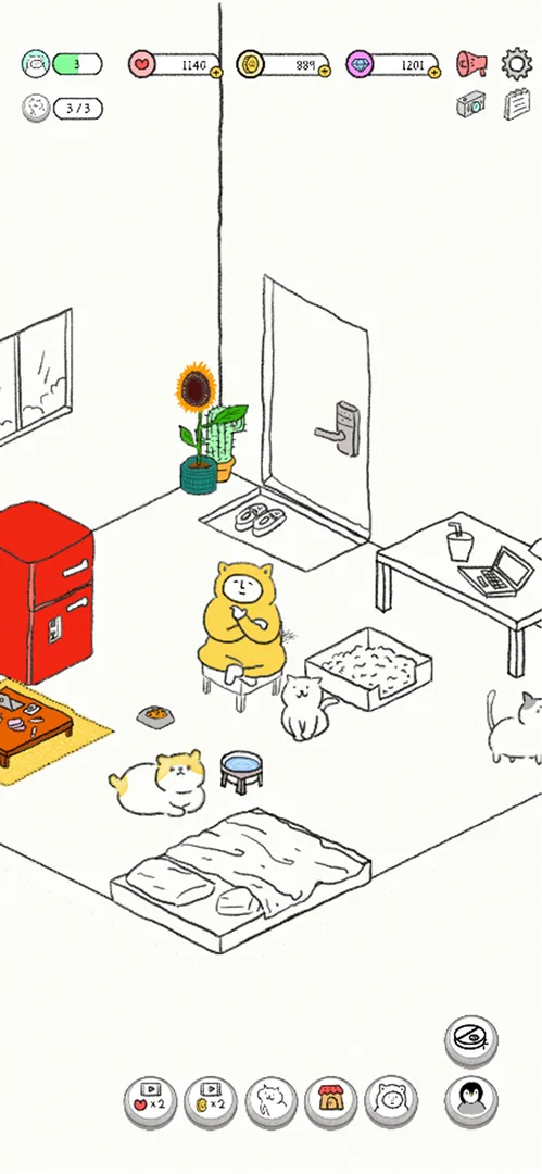 Weird Cat