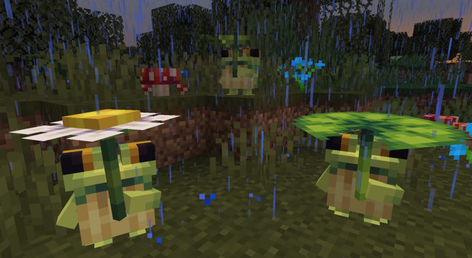 Ribbits