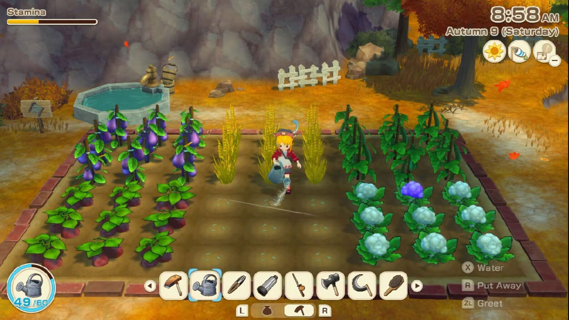 Story of Seasons: Grand Bazaar - Digital Deluxe Edition screenshot