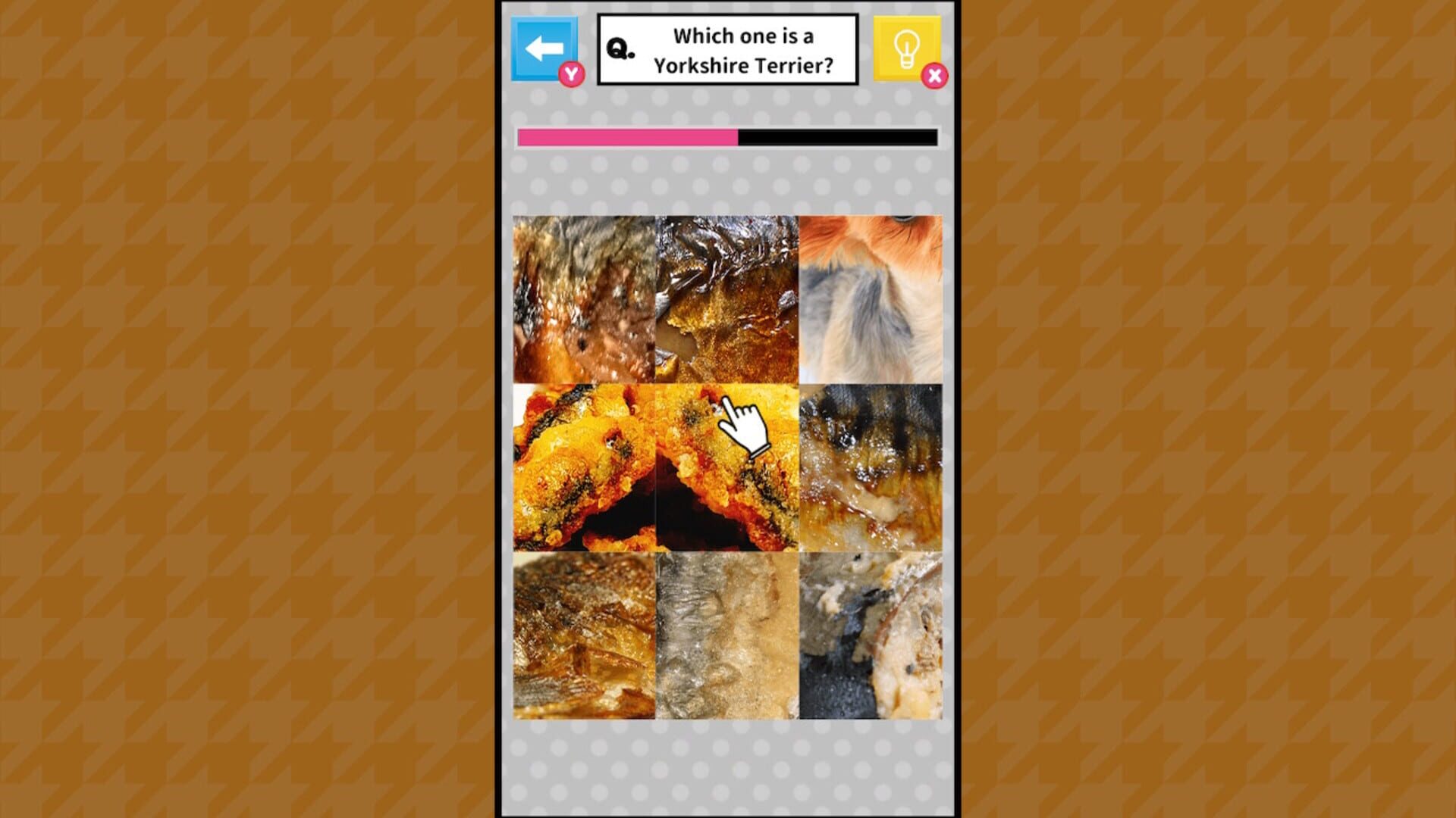 Brain Challenge Spot the Real One!