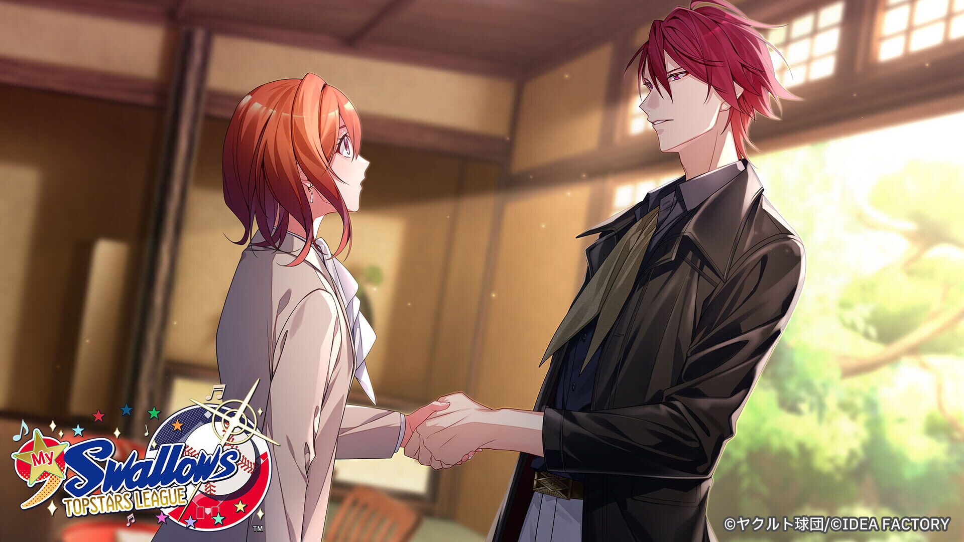My 9 Swallows: Topstars League screenshot