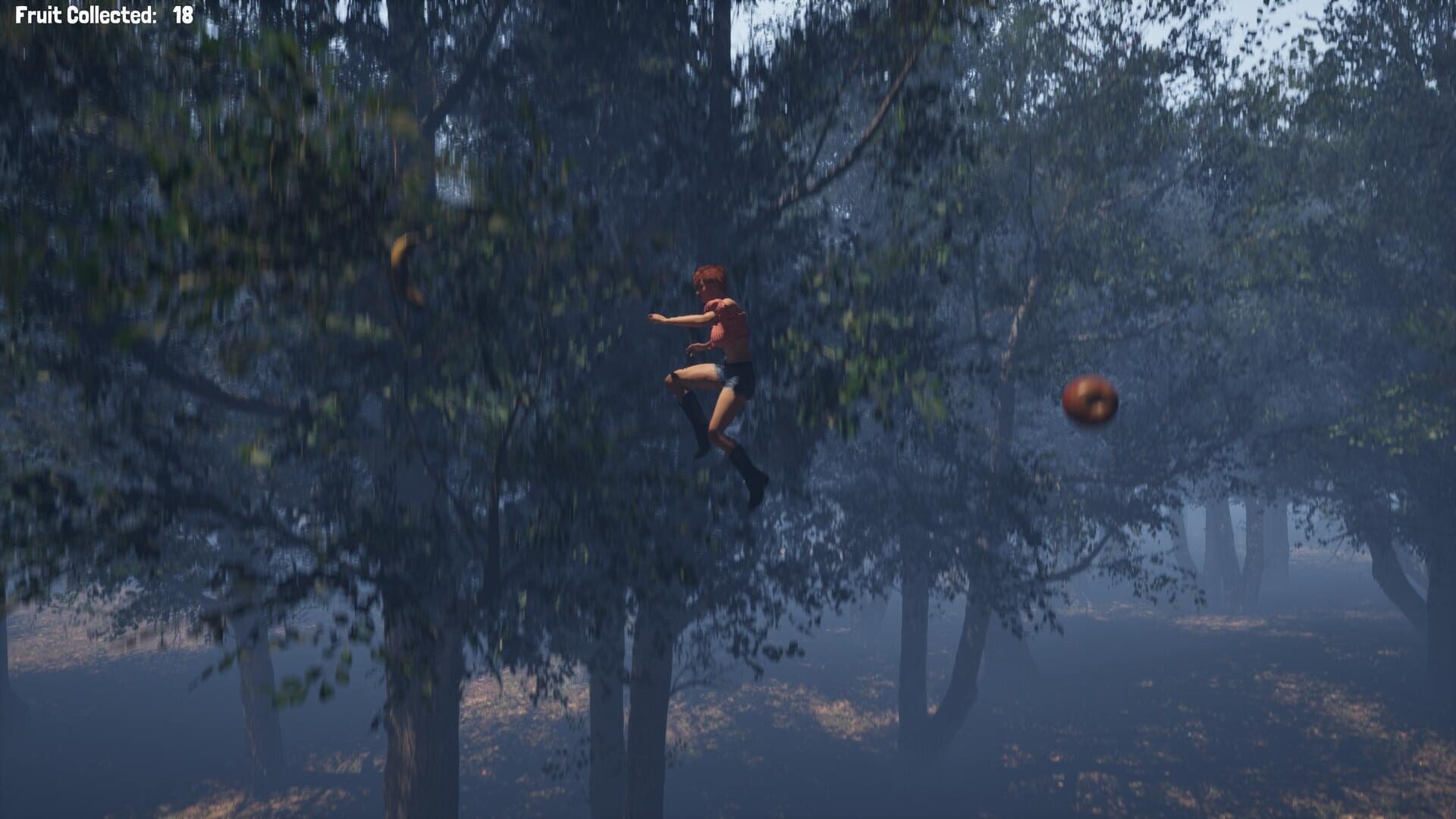 Fruit Collector - Screenshot