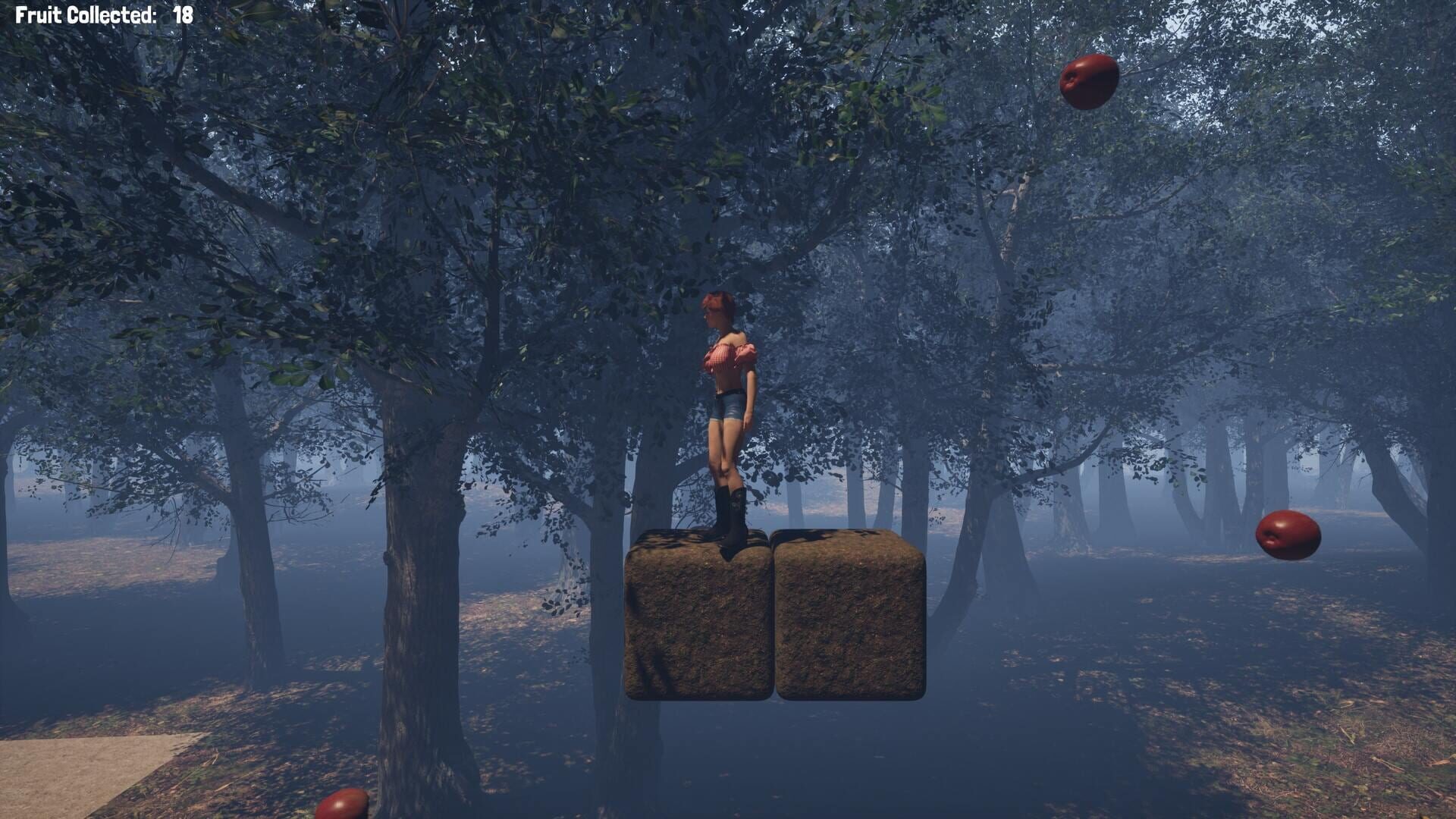 Fruit Collector - Screenshot